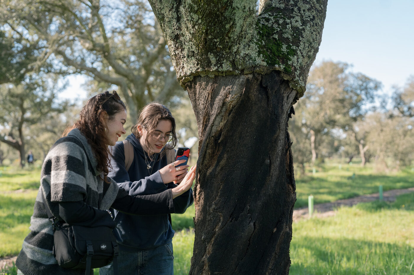 Parsons students beside a cork oak in the Rio Frio landscape, Palmela