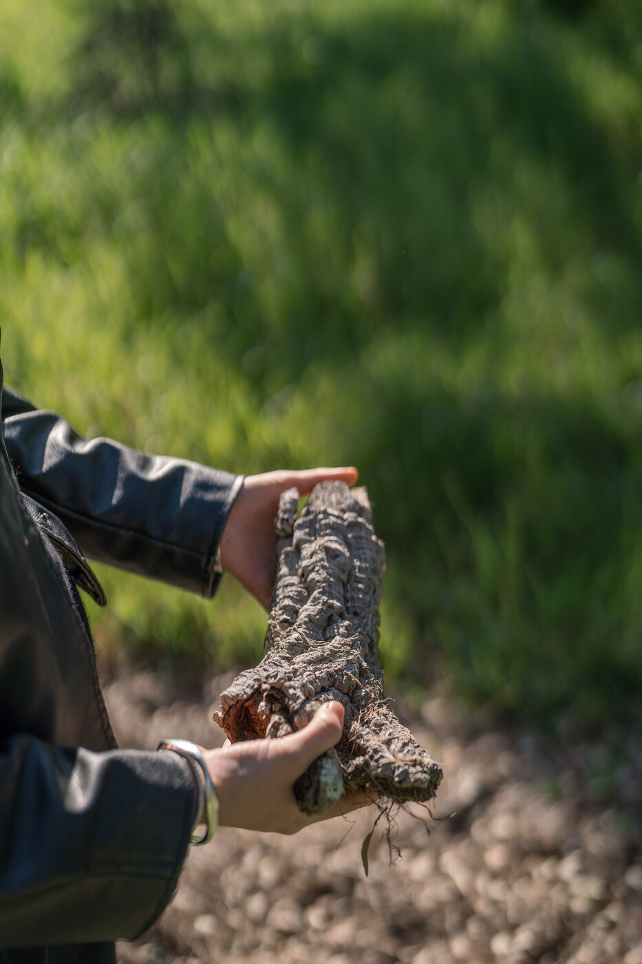 Hand holding a piece of natural cork, Amorim sustainability in Rio Frio