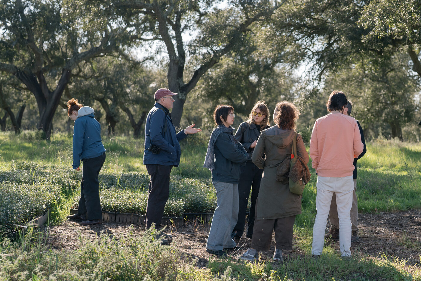 Guide leading the Parsons student group through the cork oak landscape, Rio Frio