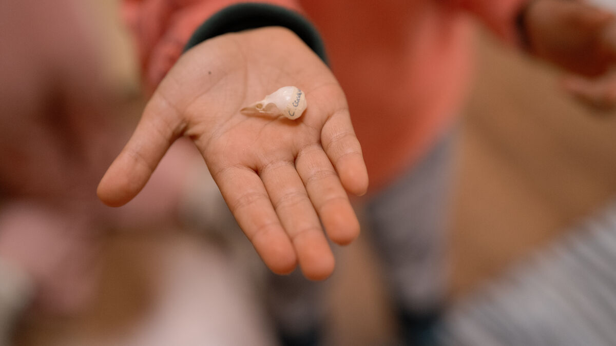 Close-up of a natural element in hand during a Naturcôa workshop
