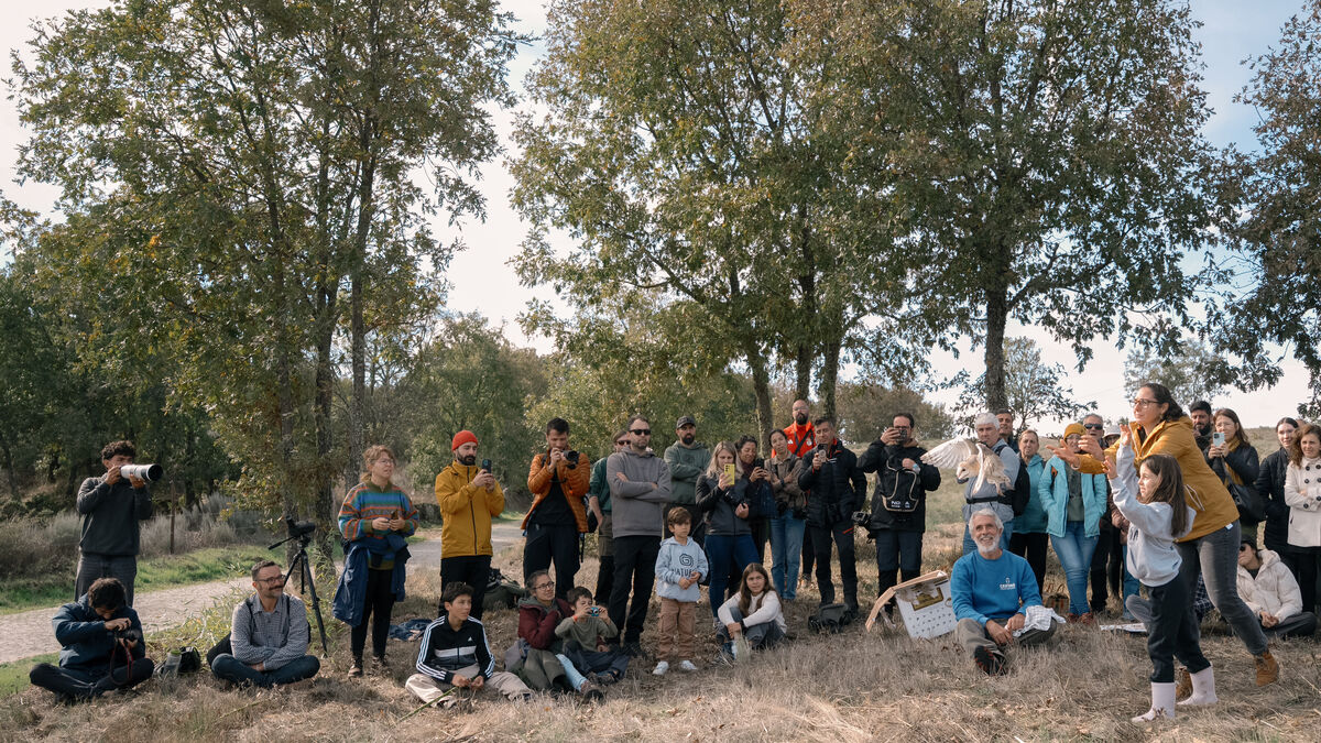 Naturcôa: dois dias a fotografar um evento de natureza no Sabugal