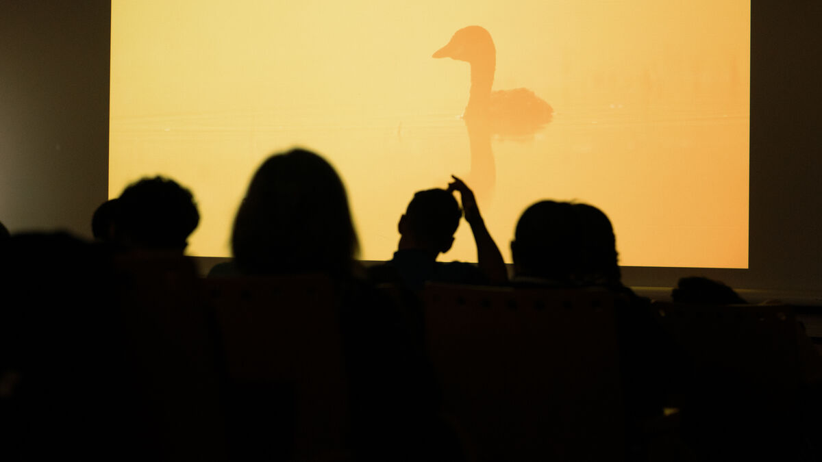 Audience in silhouette during a Naturcôa conference, in Sabugal