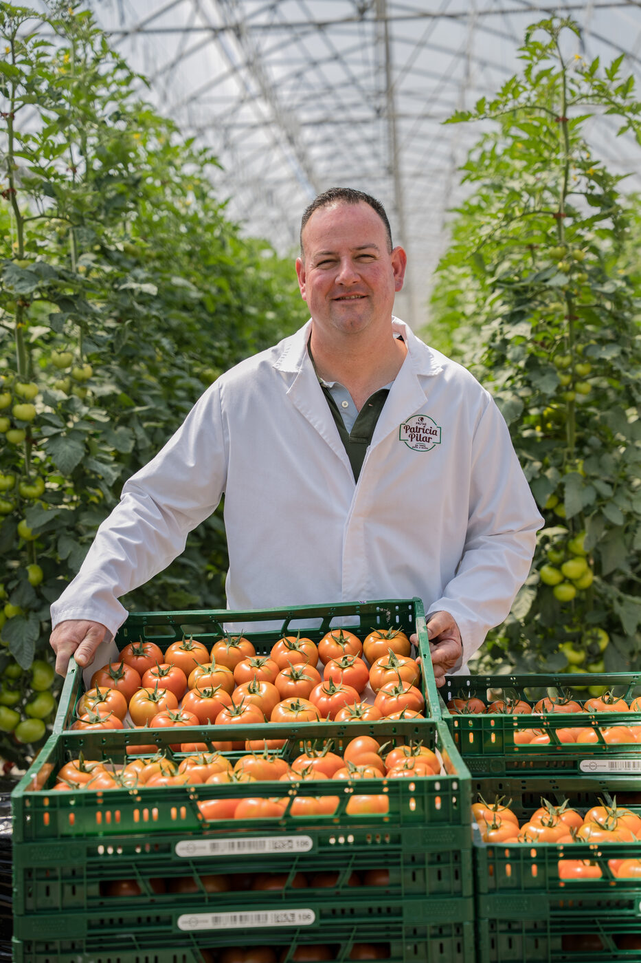 Different tomato varieties grown in the Oeste region, Pingo Doce Sabe Bem magazine