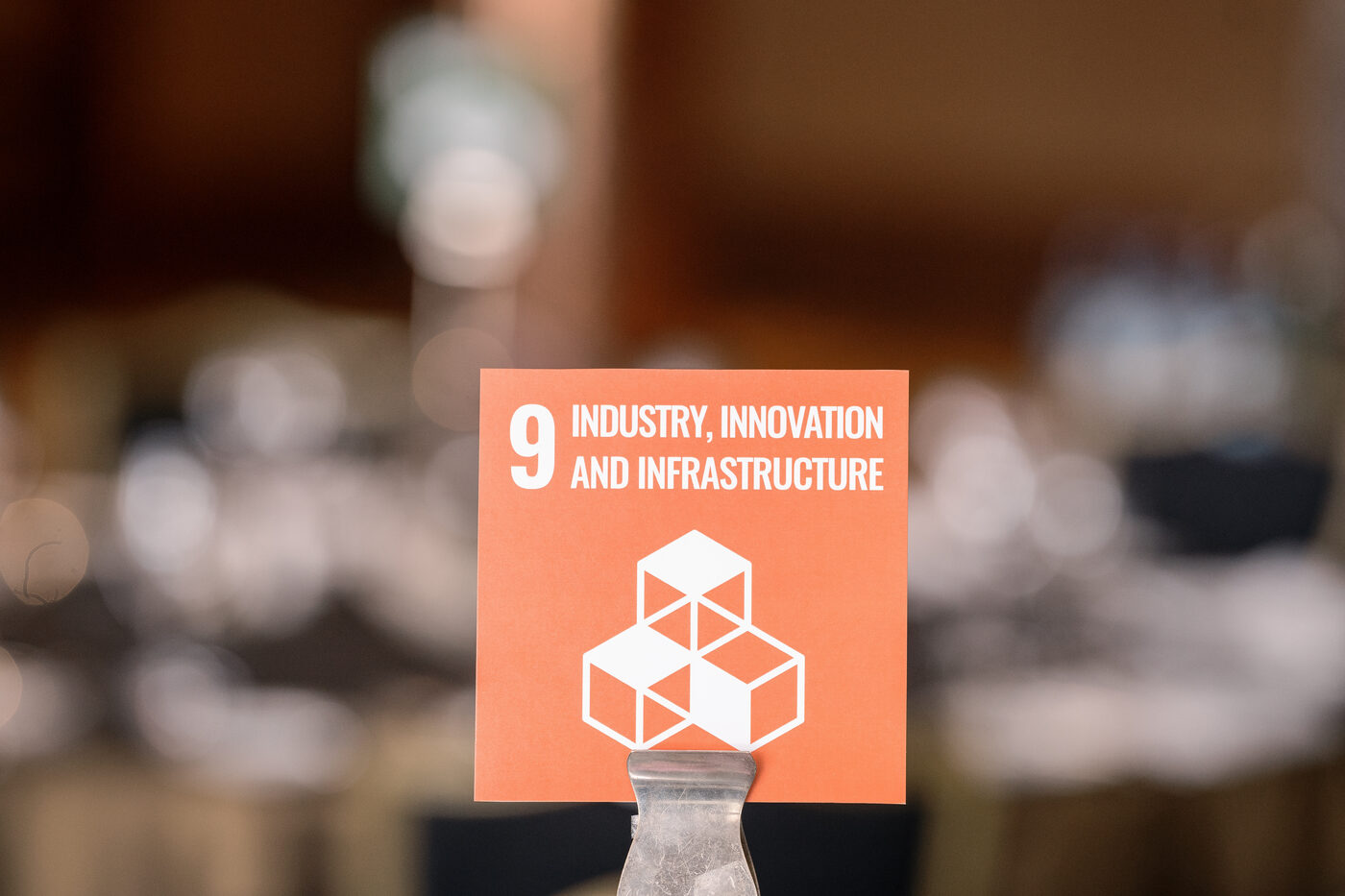 Panel on infrastructure and sustainable development goals at REN
