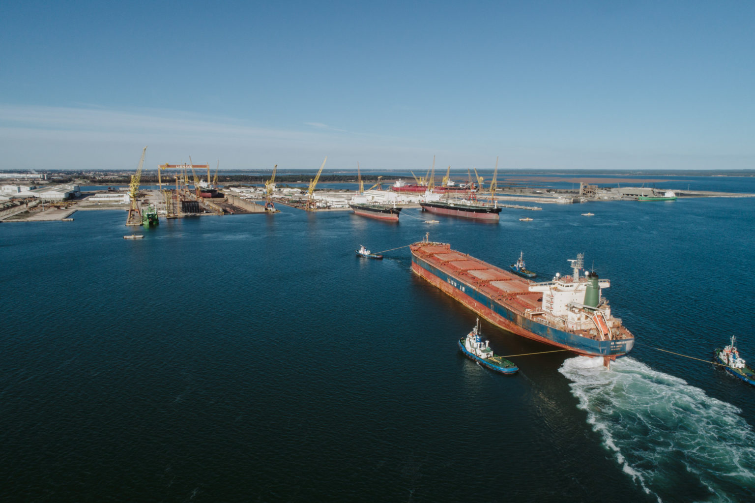 Hanko San Toilet Scan Vf